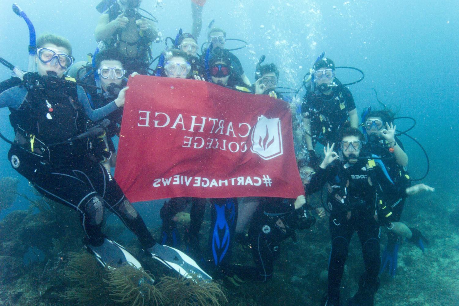 学生们手持<a href='http://w9.lcxjj.net'>bv伟德ios下载</a>旗帜，在j学期洪都拉斯游学之旅中潜水.